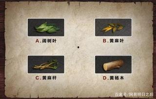 明日之后硬核生存最新爆料,揭秘神秘新地图与惊险挑战  第3张