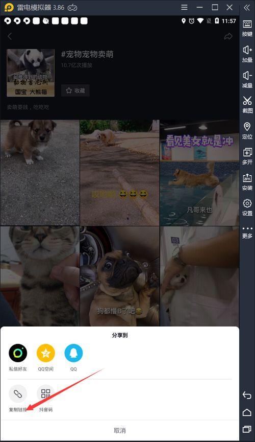 网红熊吃瓜视频原版网站,原版网站背后的故事与魅力 第3张 网红熊吃瓜视频原版网站,原版网站背后的故事与魅力 第3张